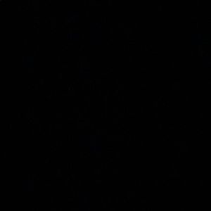 Meet your Posher, Bailey